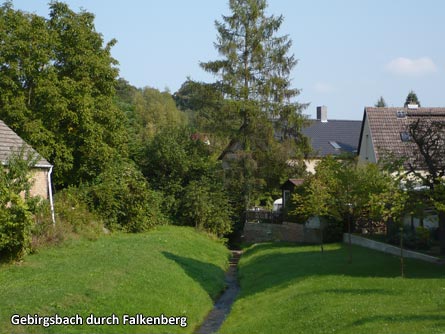 Gebirgsbach durch Falkenberg