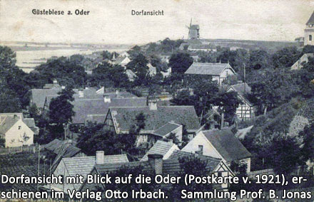 Dorfansicht von Güstebiese mit Blick auf der Oder auf einer Postkarte aus dem Jahre 1921, erschienen im Verlag Otto Irbach, Güstebiese an der Oder.